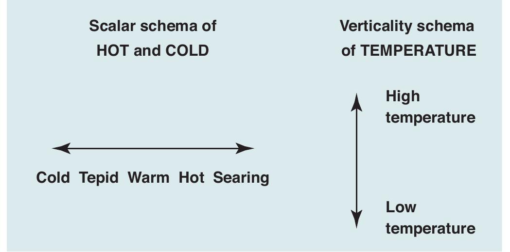 Scale schema and verticality schema. a polarity spans a