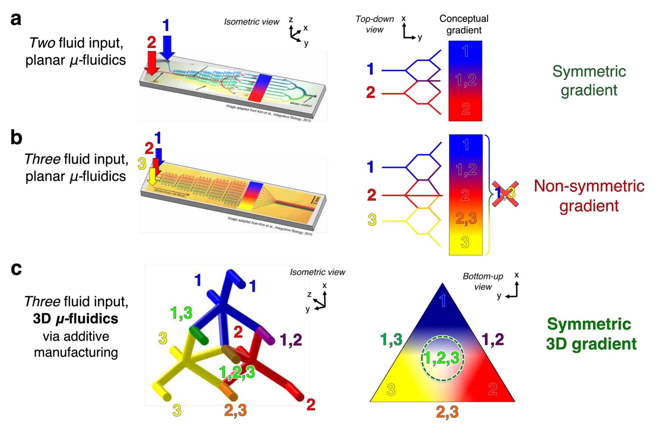 (PDF) 3D Microfluidic Concentration Gradient Generator for Combination ...