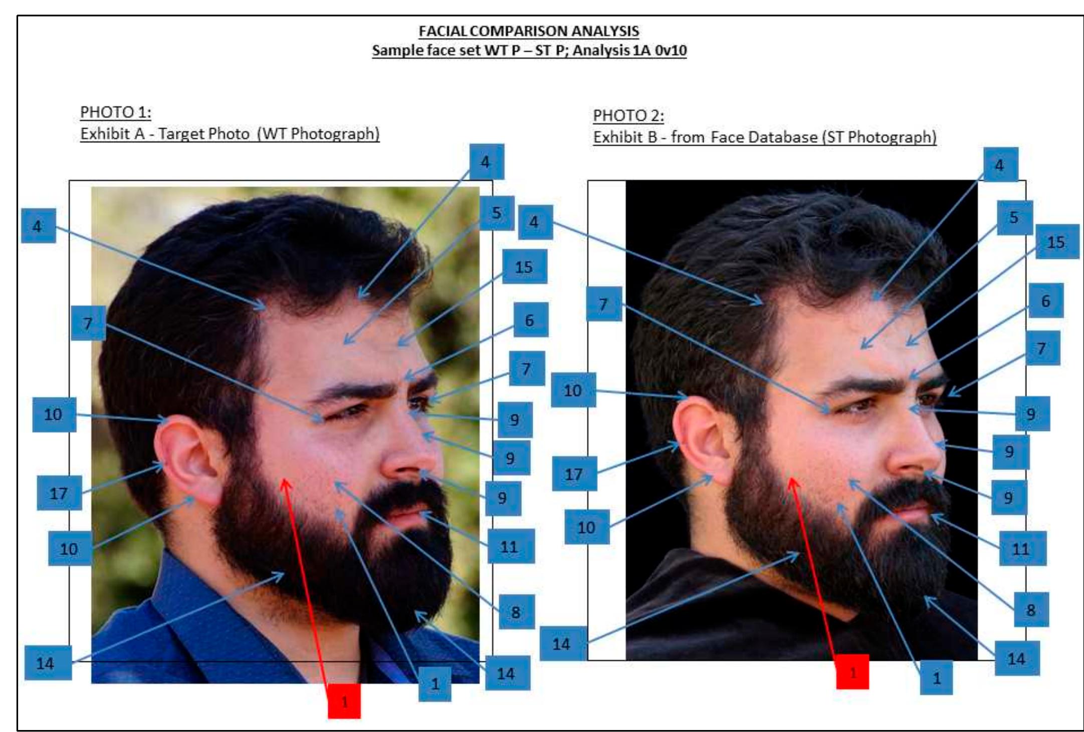 Example of a forensic facial comparison analysis process