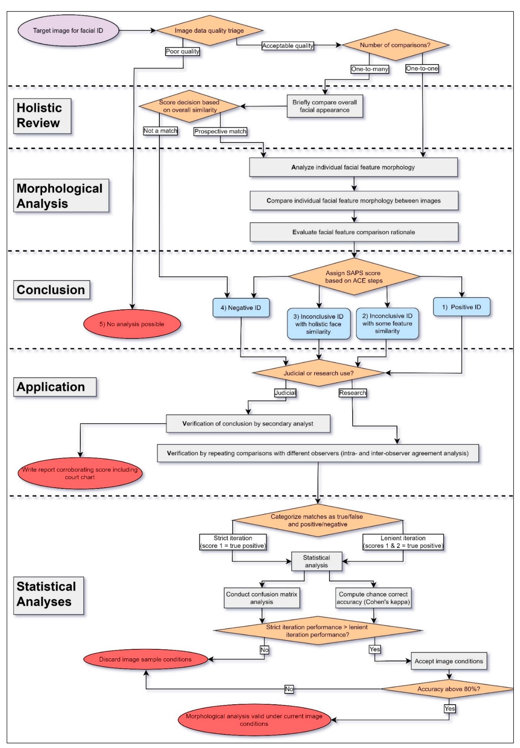 Flow diagram of the recommended morphological analysis