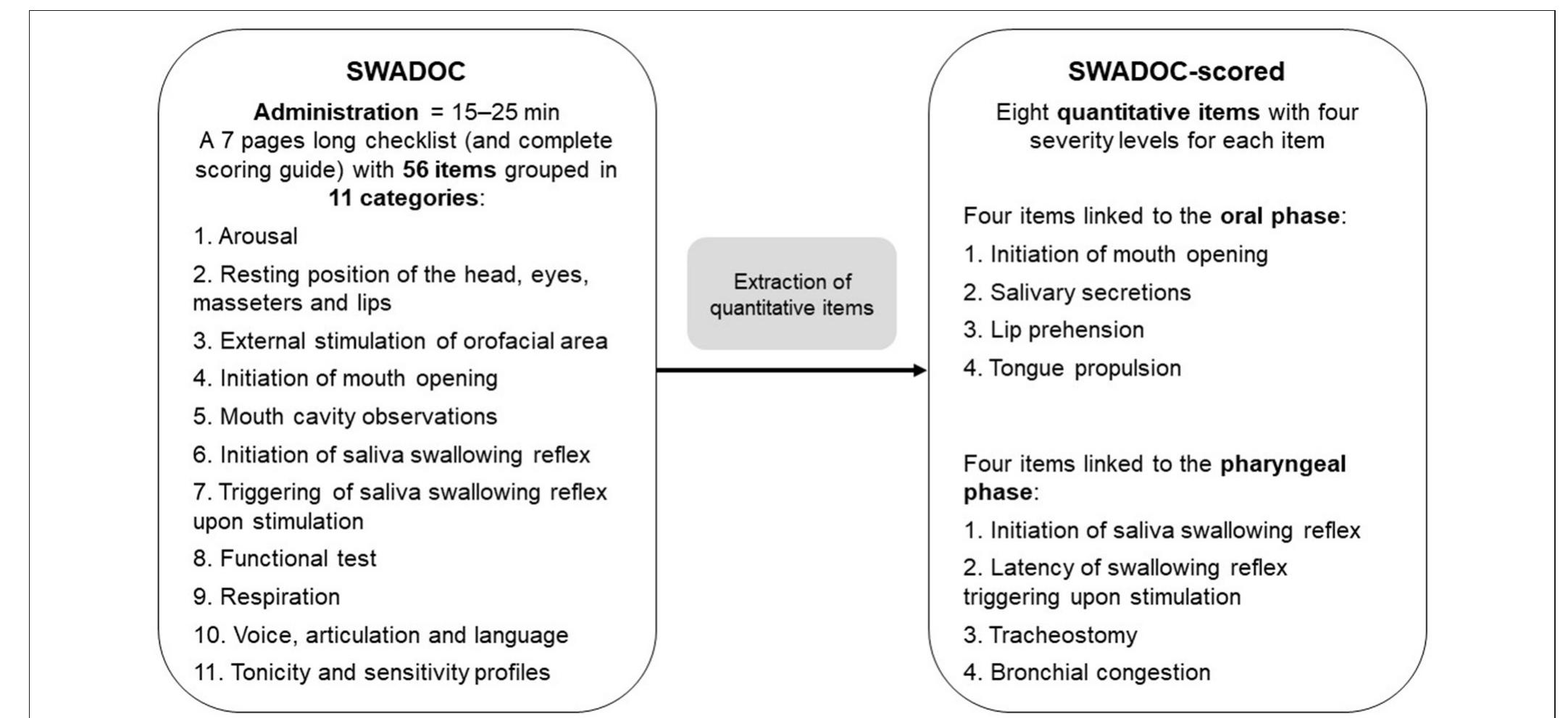 (PDF) The Development and Validation of the SWADOC: A Study Protocol ...