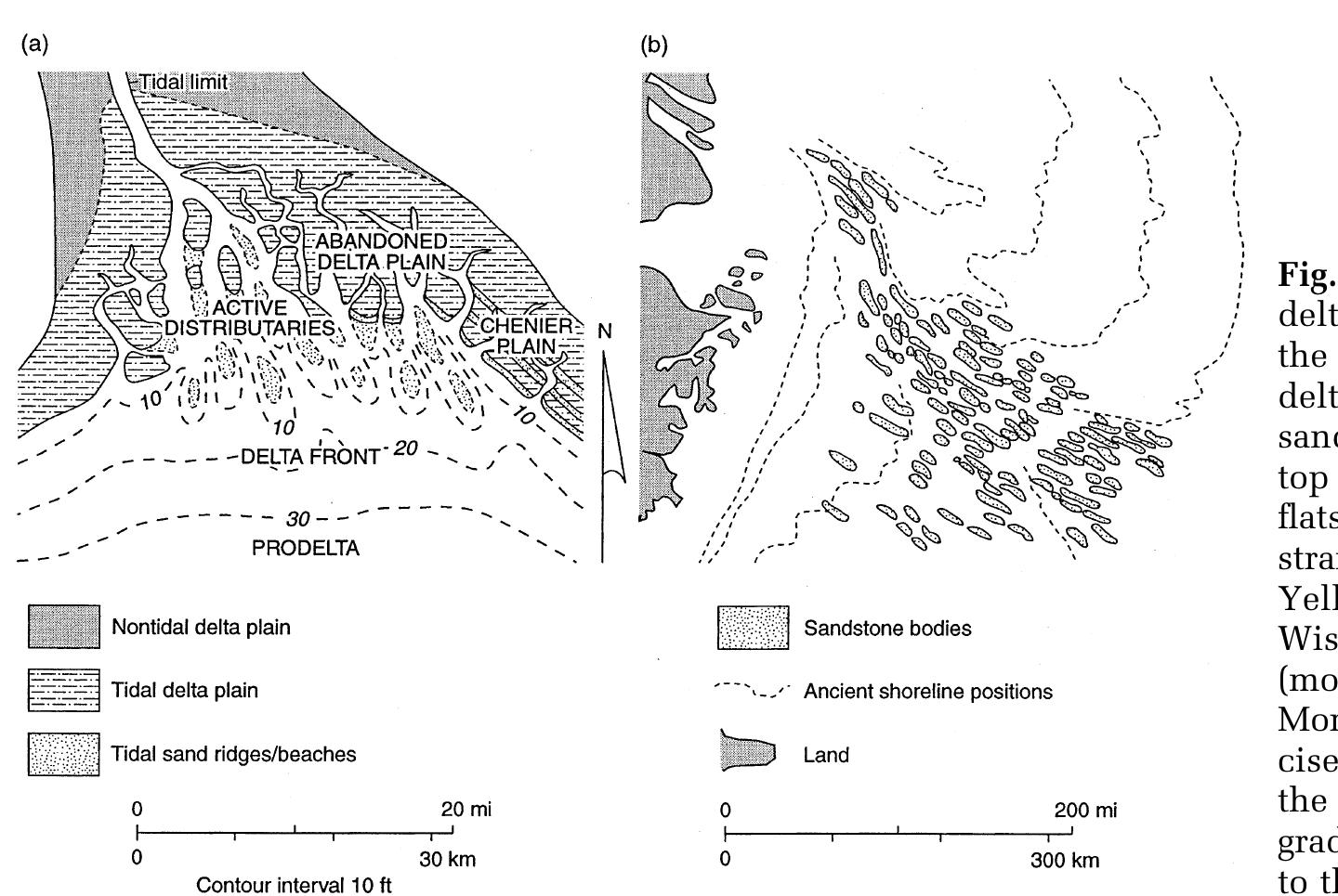 (PDF) Architecture of a tide-influenced river delta in the Frontier ...