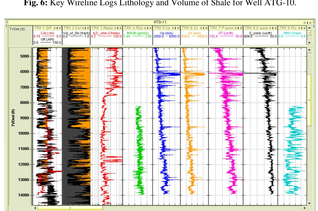 Key wireline logs lithology and volume of shale for well