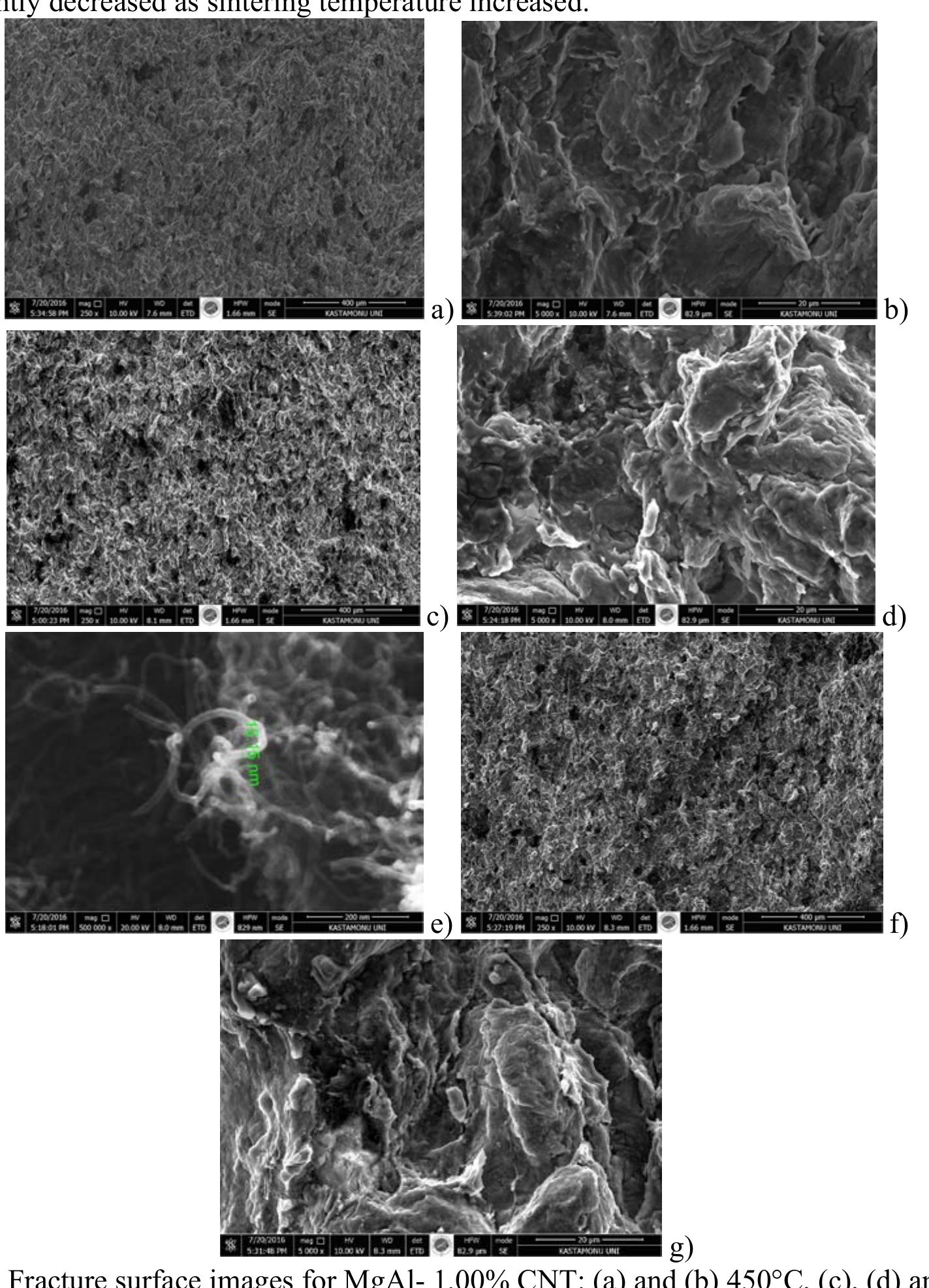 Figure 3 - from The Effect of CNT Content and Sintering