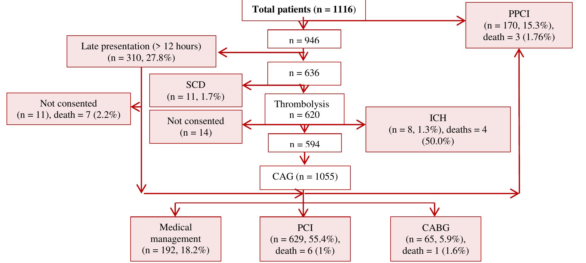 Flow chart of management of patients including their outcome