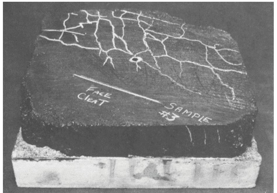 (9) hydraulic fractures pattern from fracture blocks of