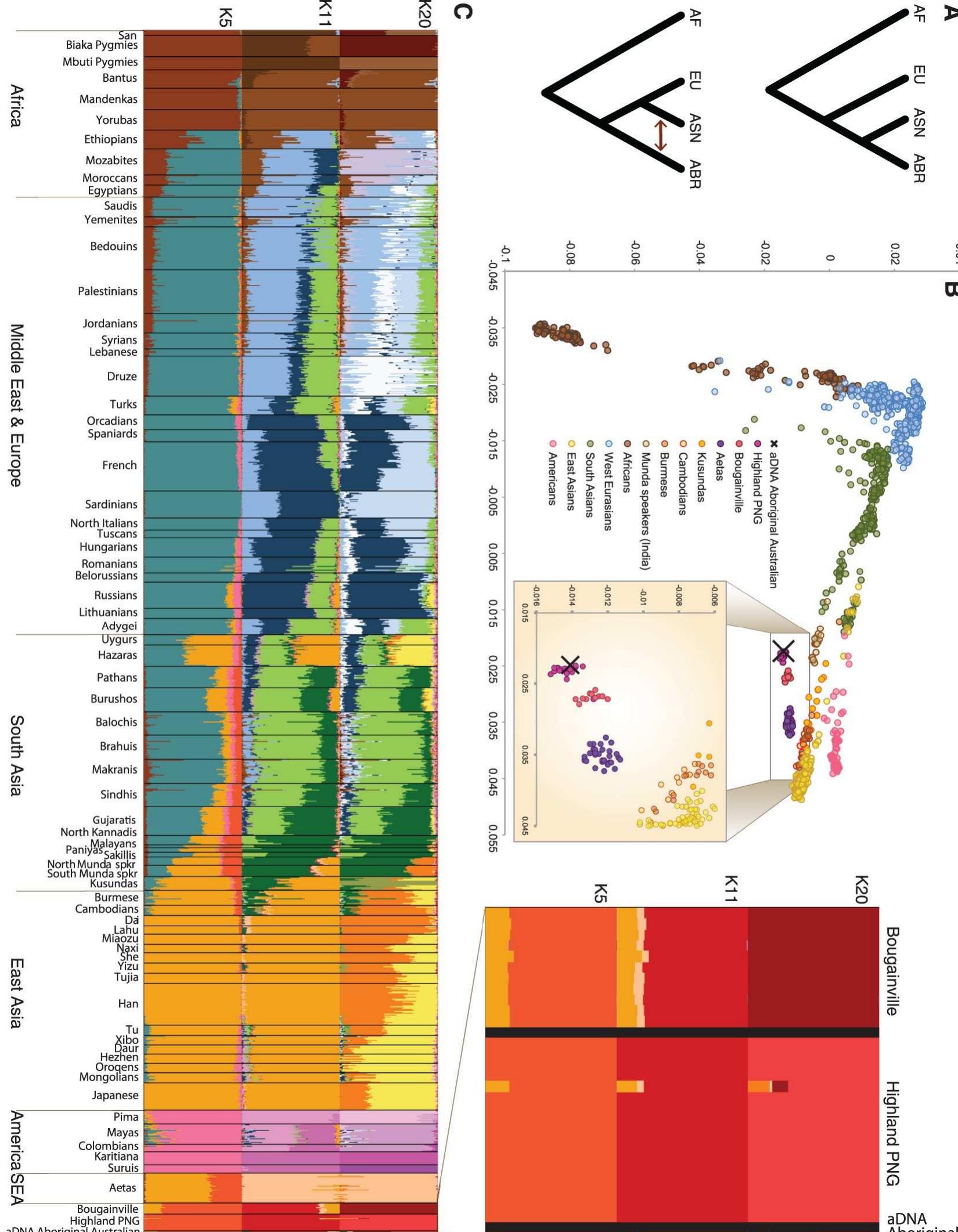 (PDF) An Aboriginal Australian Genome Reveals Separate Human Dispersals ...