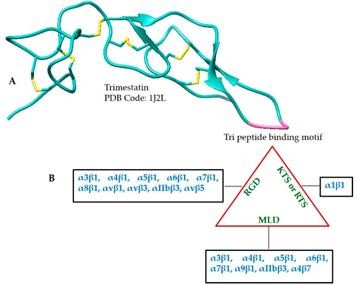Figure 4 - from Snake Venom Peptides: Tools of Biodiscovery