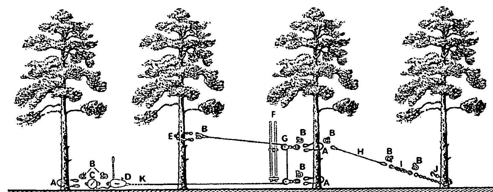 Slinging Ropes Up Trees -2. original tree—pulling method. a — wire rope slings, b