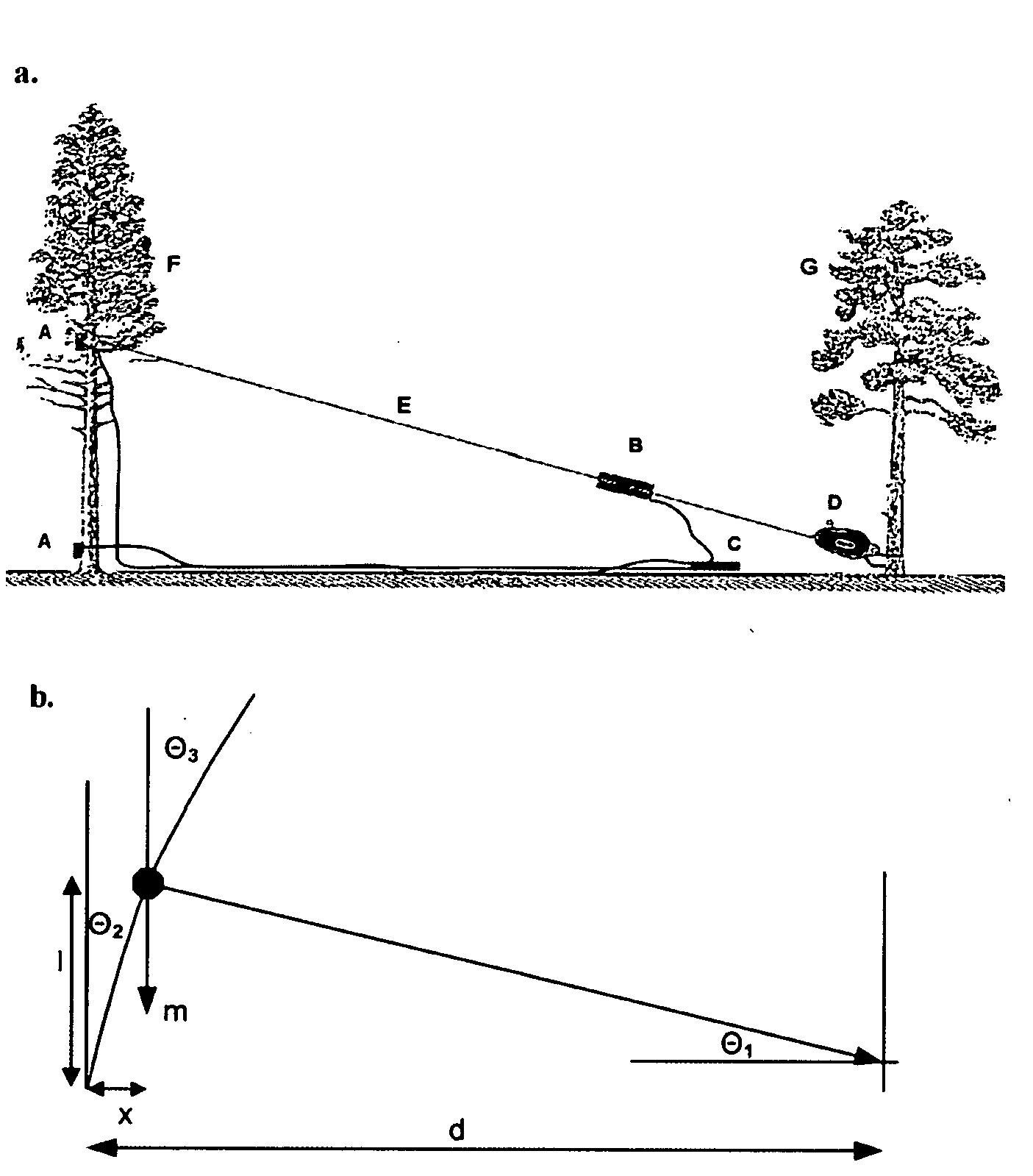 (PDF) Effects of soil, terrain and wind climate on tree root system ...