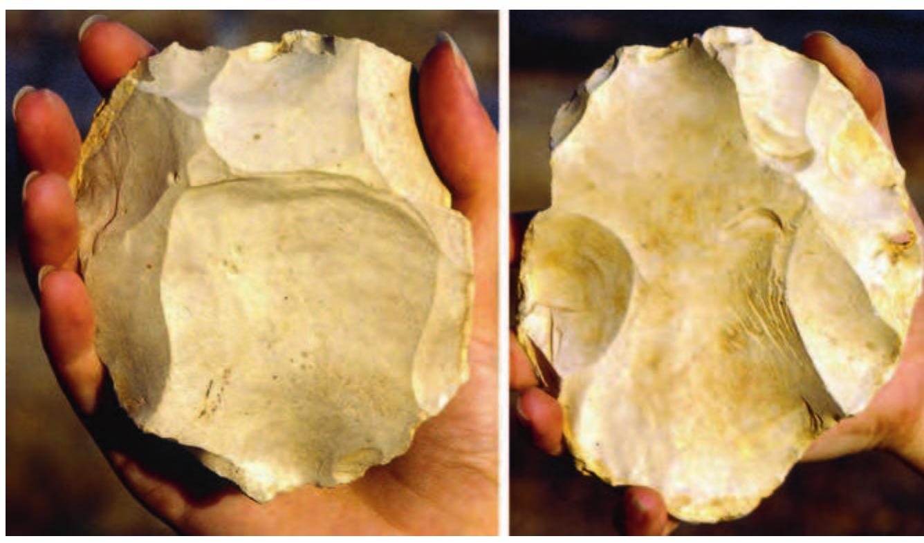 P Rohri (PDF) The Middle and Upper Paleolithic Archeology of the Levant and Beyond