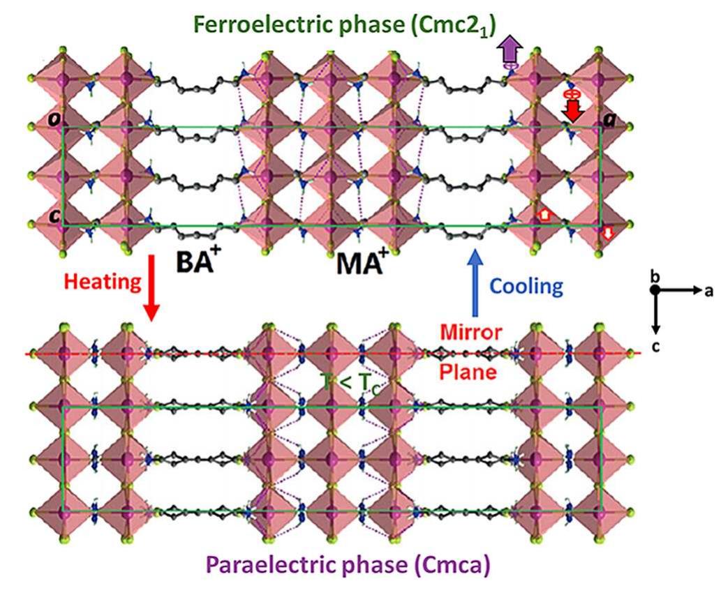 Ferroelectric (cmc21) and paraelectric (cmca) phases of