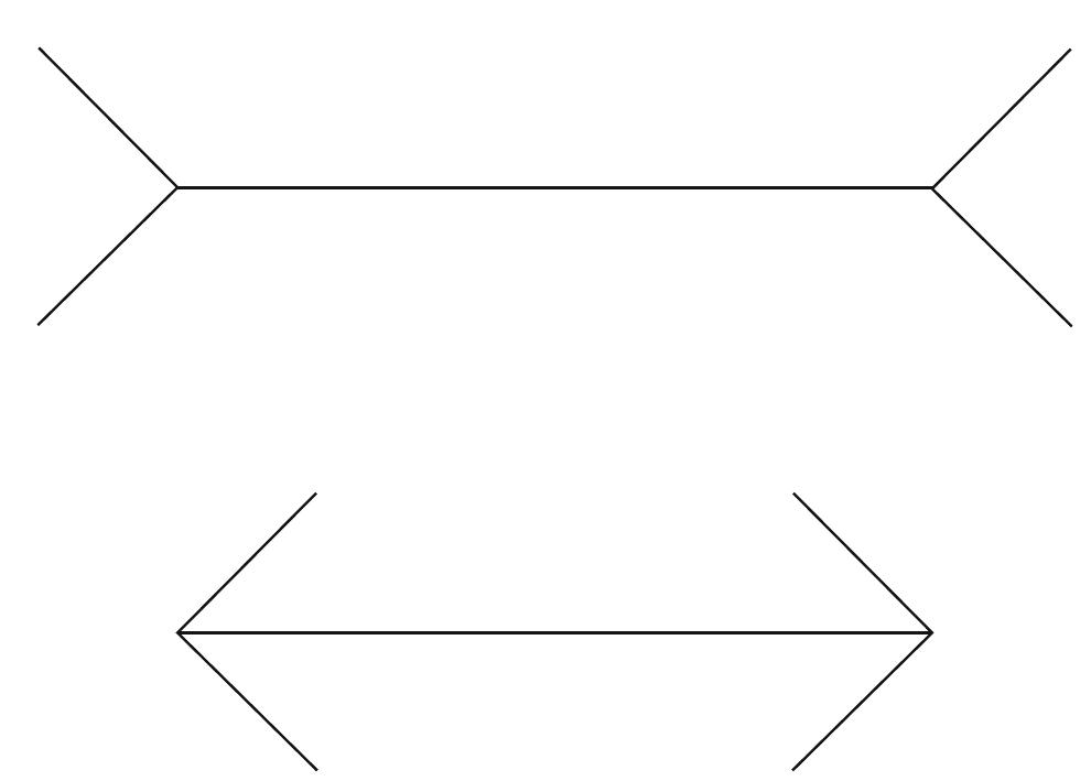 Outward Example The example of miiller-lyer illusion with typical cen- tral