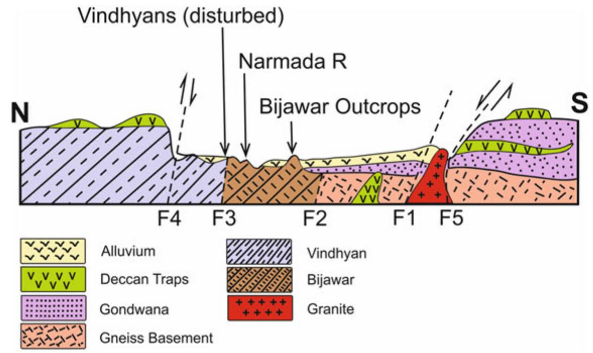 【NEEDLES 】Narrow Track Pant -Poly Smooth PDF) The Lithosphere Beneath the Indian Shield