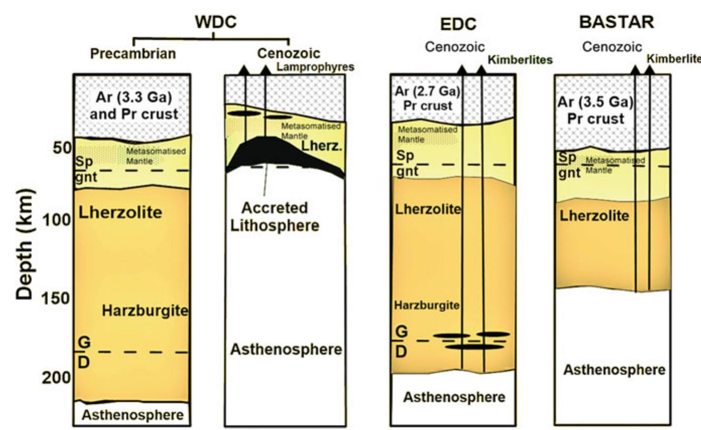 【NEEDLES 】Narrow Track Pant -Poly Smooth PDF) The Lithosphere Beneath the Indian Shield