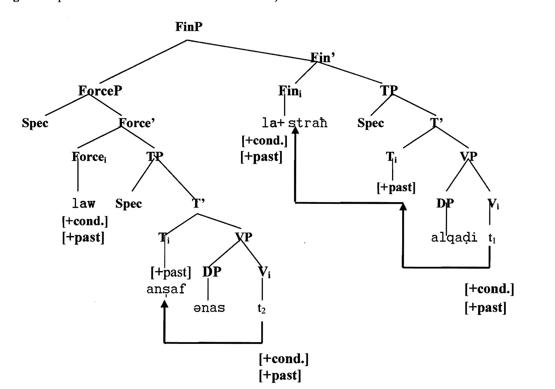 The conditional clause in (1a) shows that verbs come immediately after the conditional markers law and  la. Since Arabic is a head initial language of the order VSO, the verbs ansaf (be fair) and strah (be relieved)  have to move to the T position under TP moving along with them the features [+cond.] and [+past]. Hence, it is not the IR that triggers the movement of verb complexes but rather the VSO order of Arabic. 