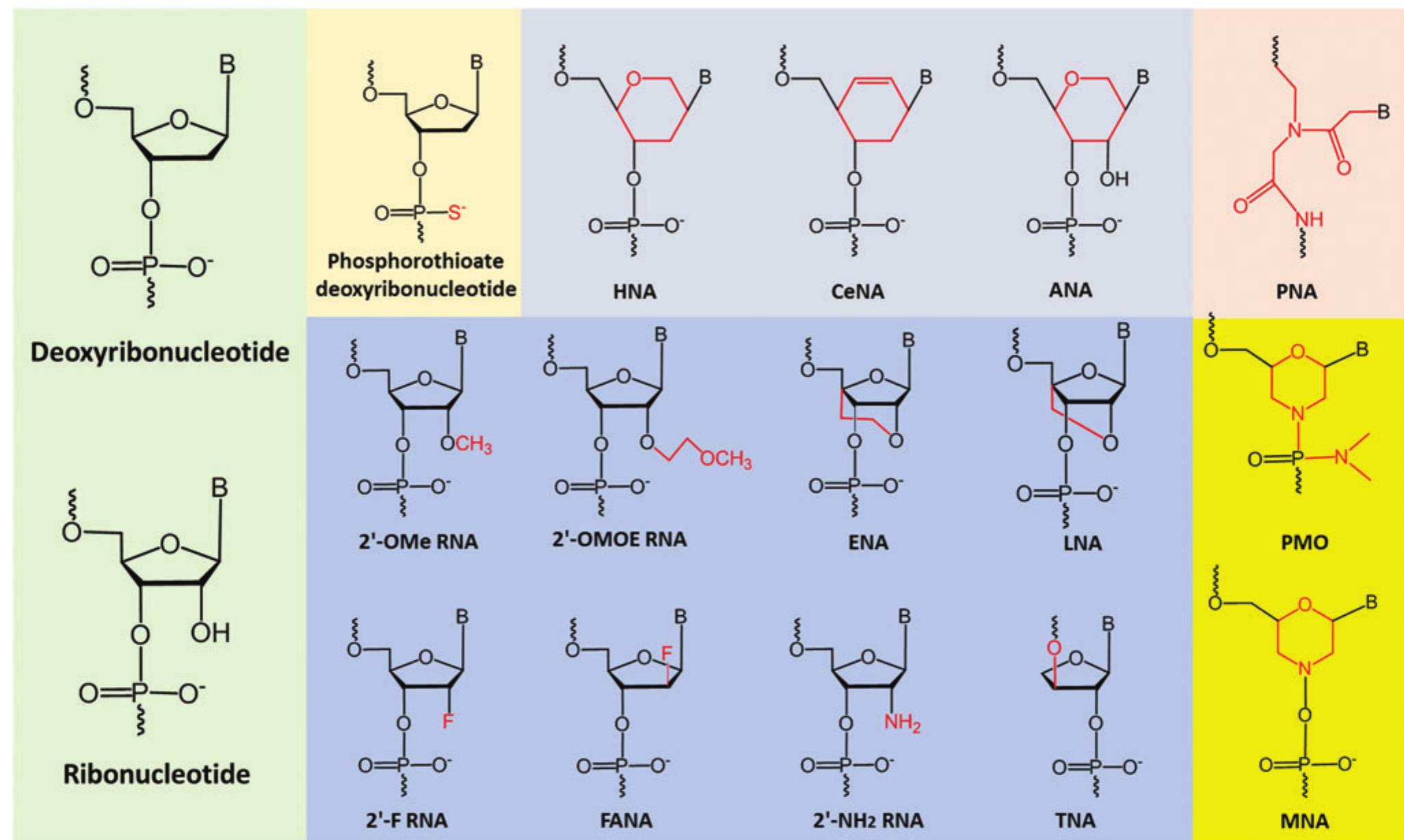 Figure 1 - from Antisense Oligonucleotides as Potential