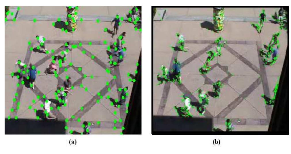 (PDF) Detection of Abnormal Motions in Video