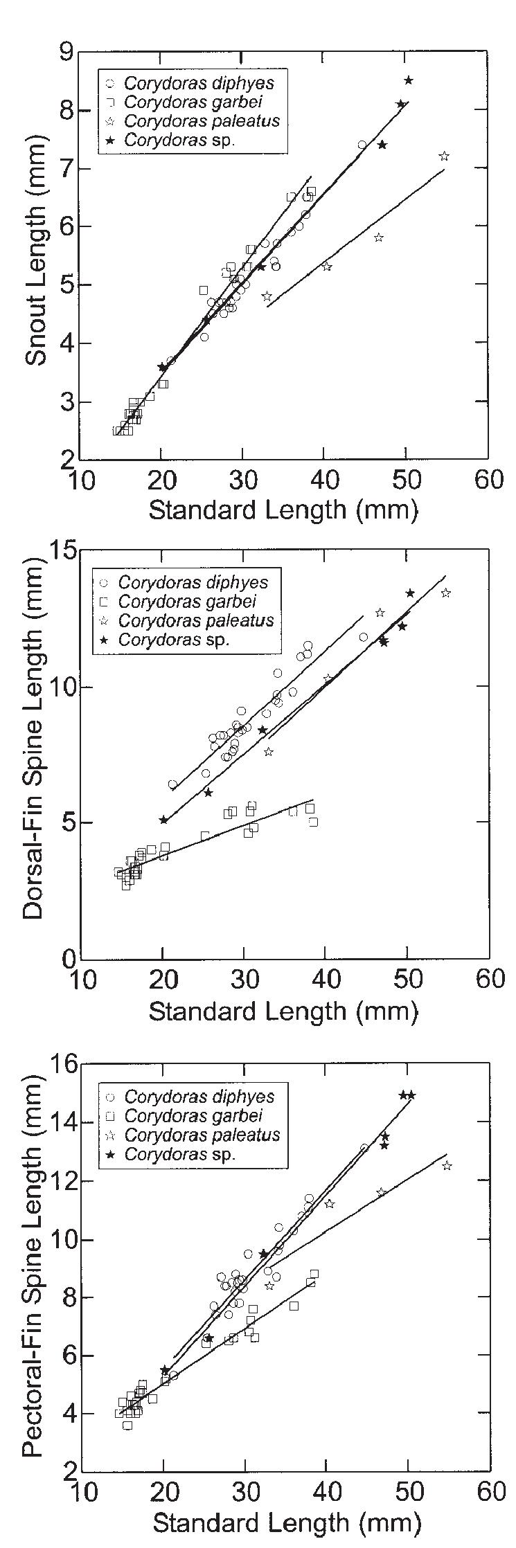 Snout Length Snout length, dorsal spine length and pectoral spine length