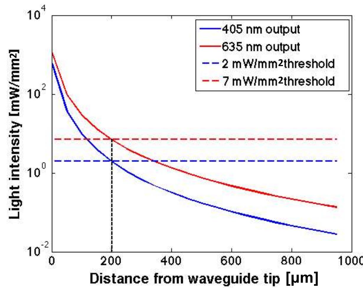 -3. simulated light intensity curves at waveguide tip as a