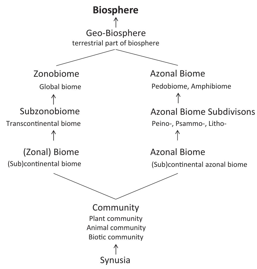 Amodified classification scheme of zonal and azonal
