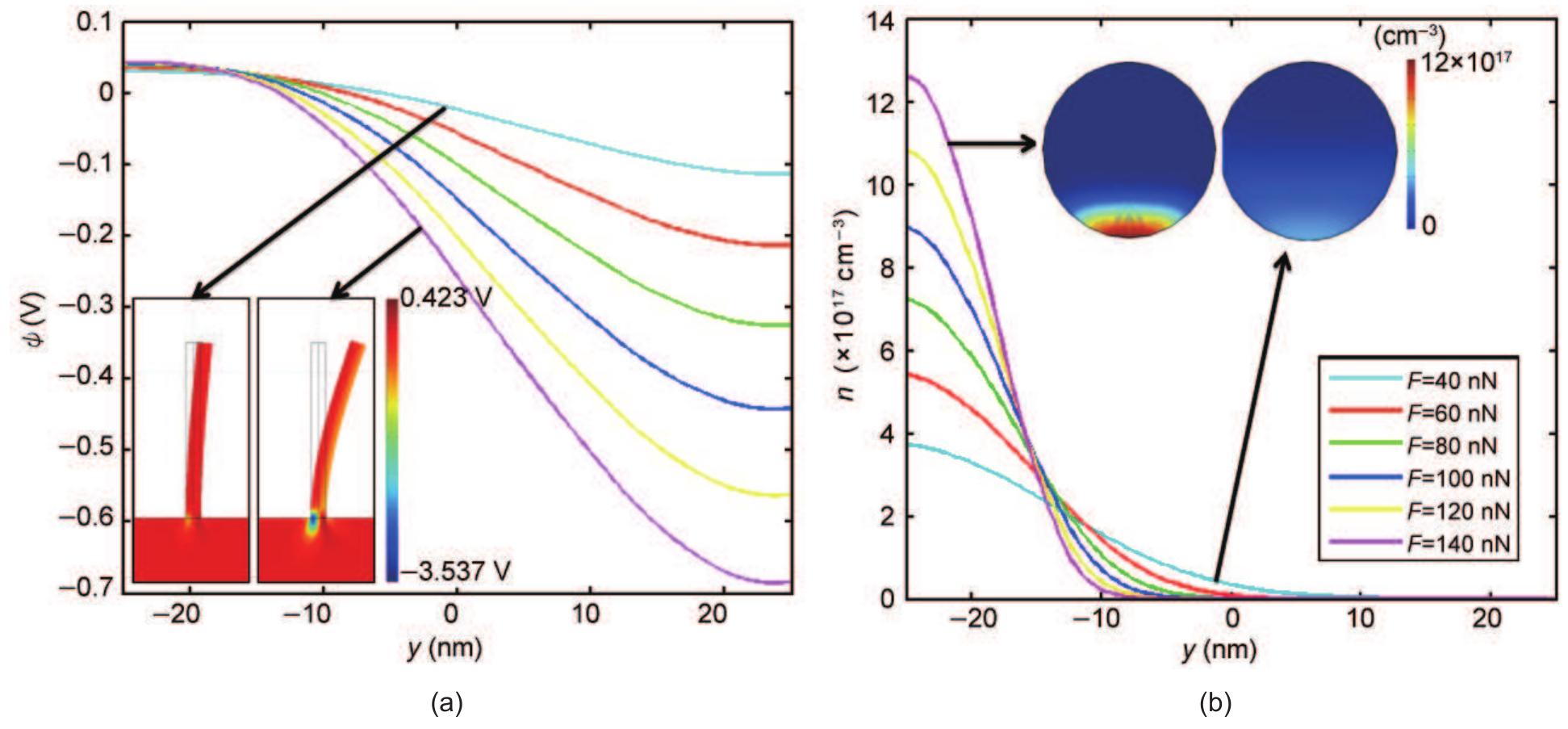 (PDF) Equilibrium piezoelectric potential distribution in a deformed ...