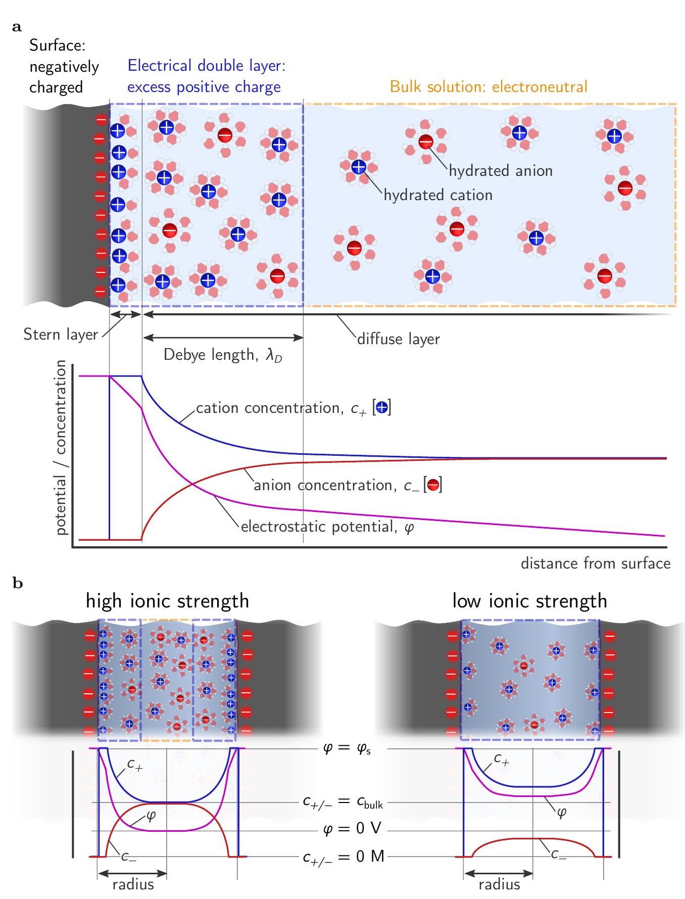 Luse Structure 7. schematic overview of the structure of the electrical