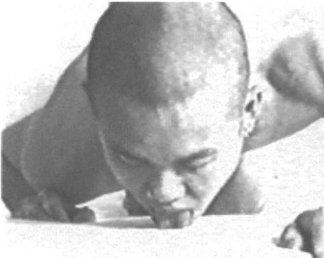 The Skin of the Film: Intercultural Cinema, Embodiment, and the Senses