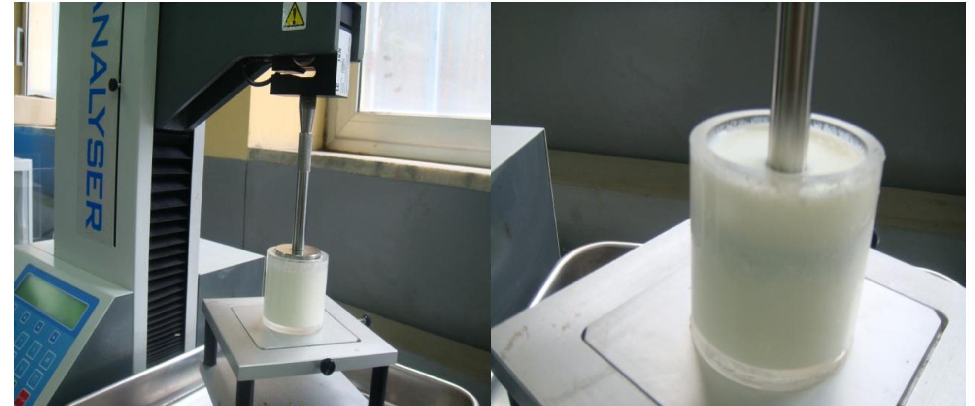 Texture analyzer (lloyd instruments, ta plus ametek, uk
