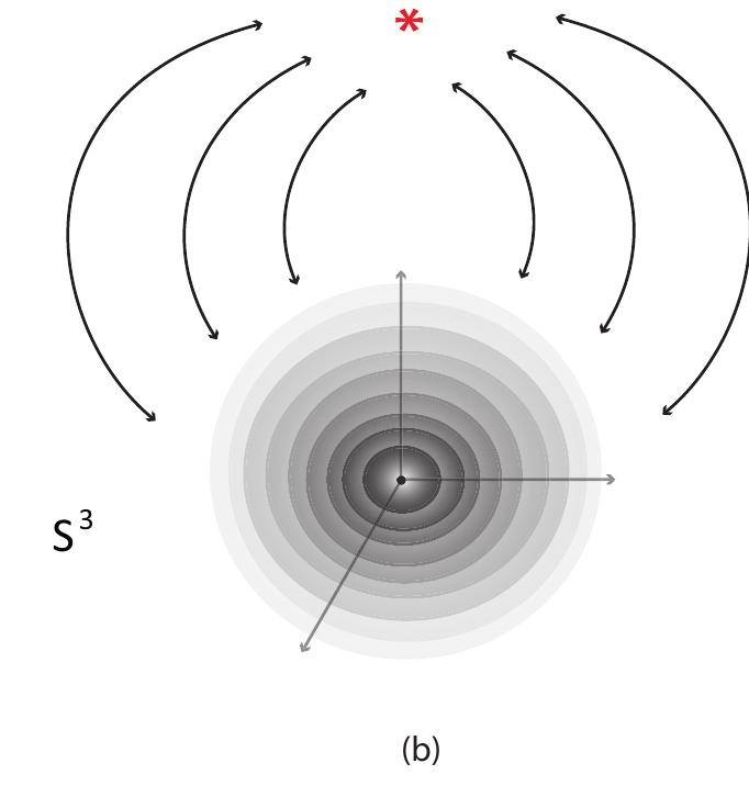 (PDF) Topological Surgery and Its Dynamics