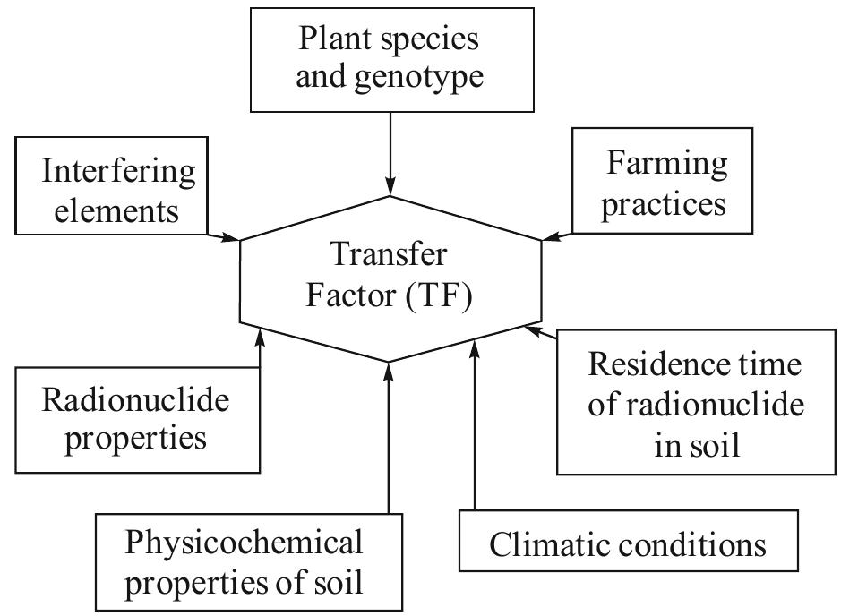 Transfer Factor Particles (PDF) Assessment of radioactivity of 226Ra, 232Th and 40K in soil and ...
