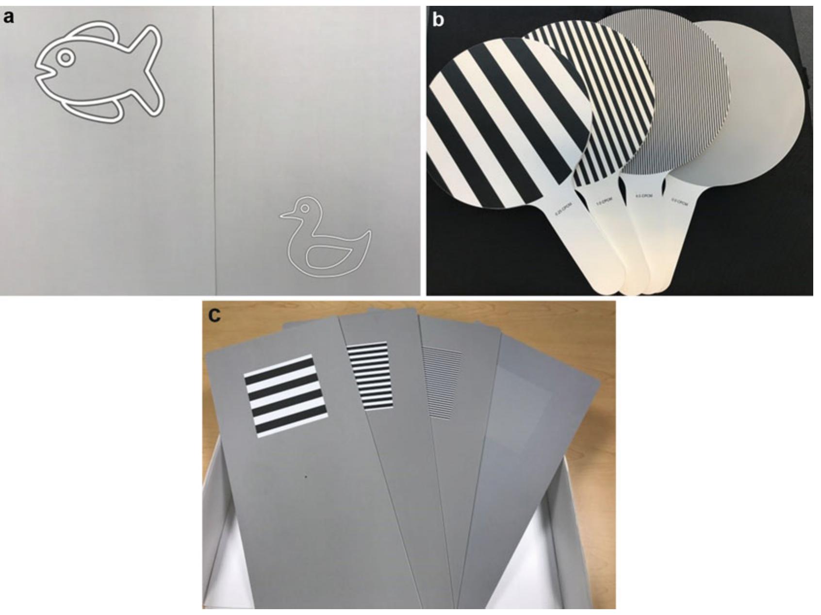 (PDF) Testing Visual Function and Visual Evaluation Outcomes in the ...