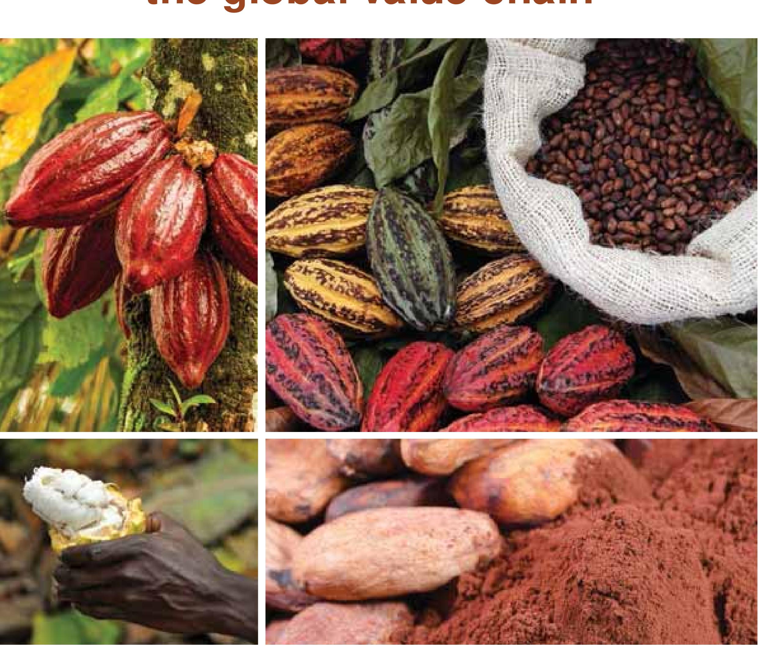 *cocoa producing countries. source: based on data from icco,