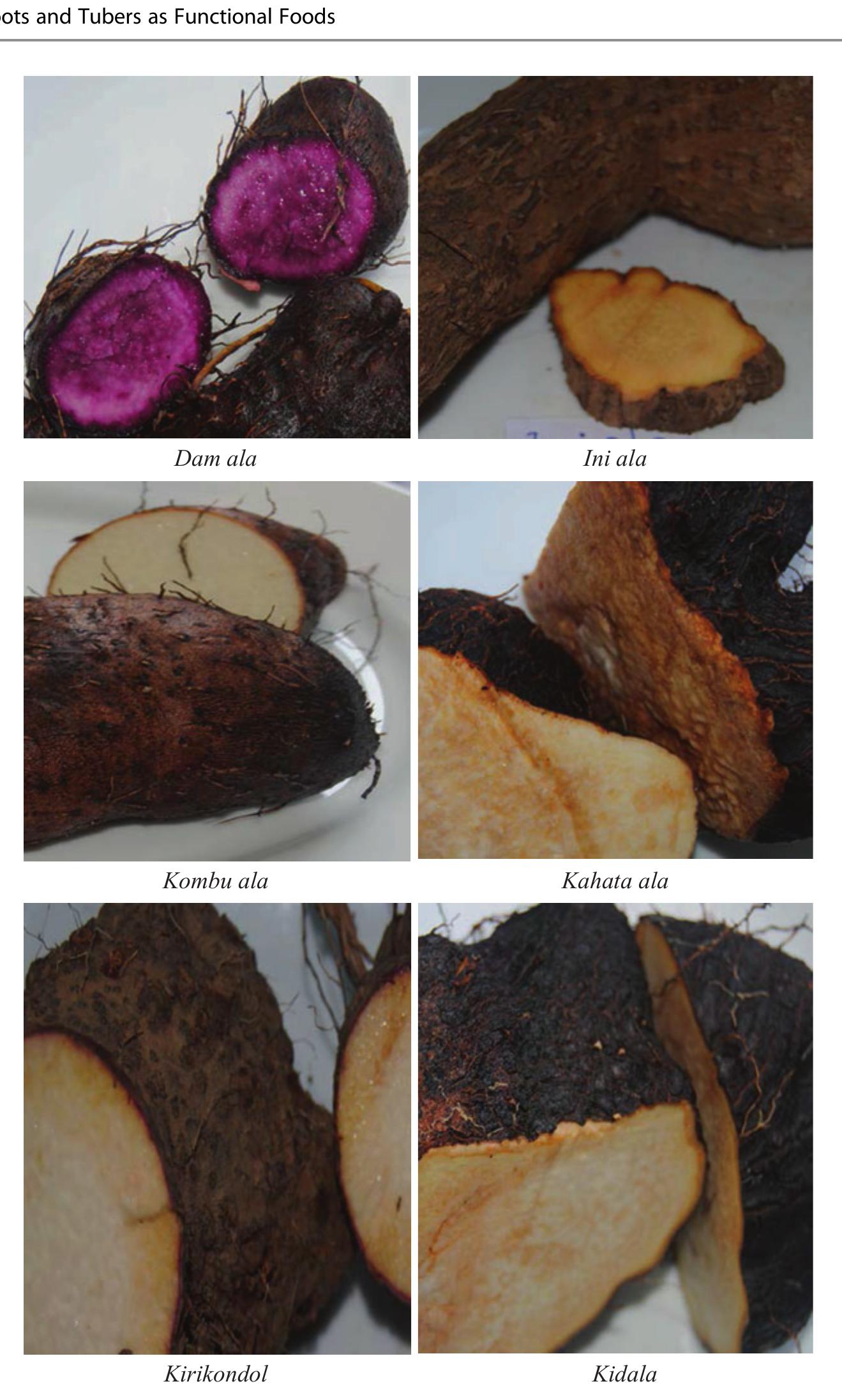 Cooked Starchy Roots (PDF) Roots and Tubers as Functional Foods