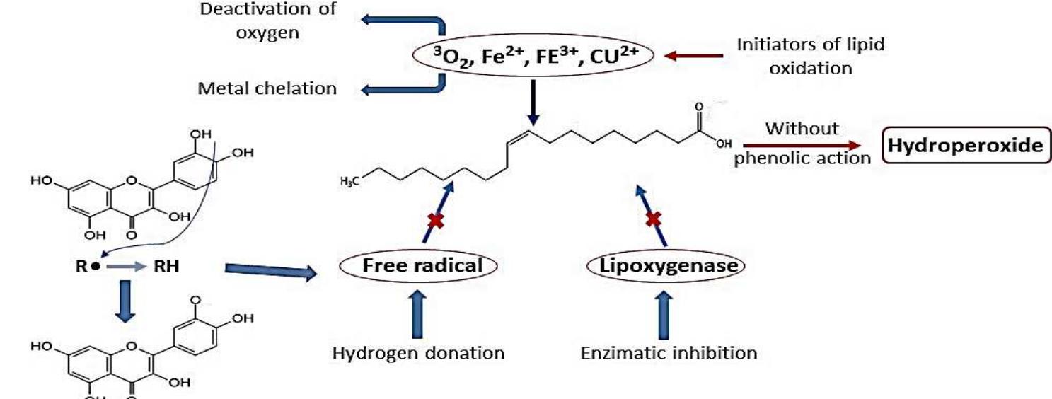 Figure 3 - from Phenolic compounds of mango (Mangifera