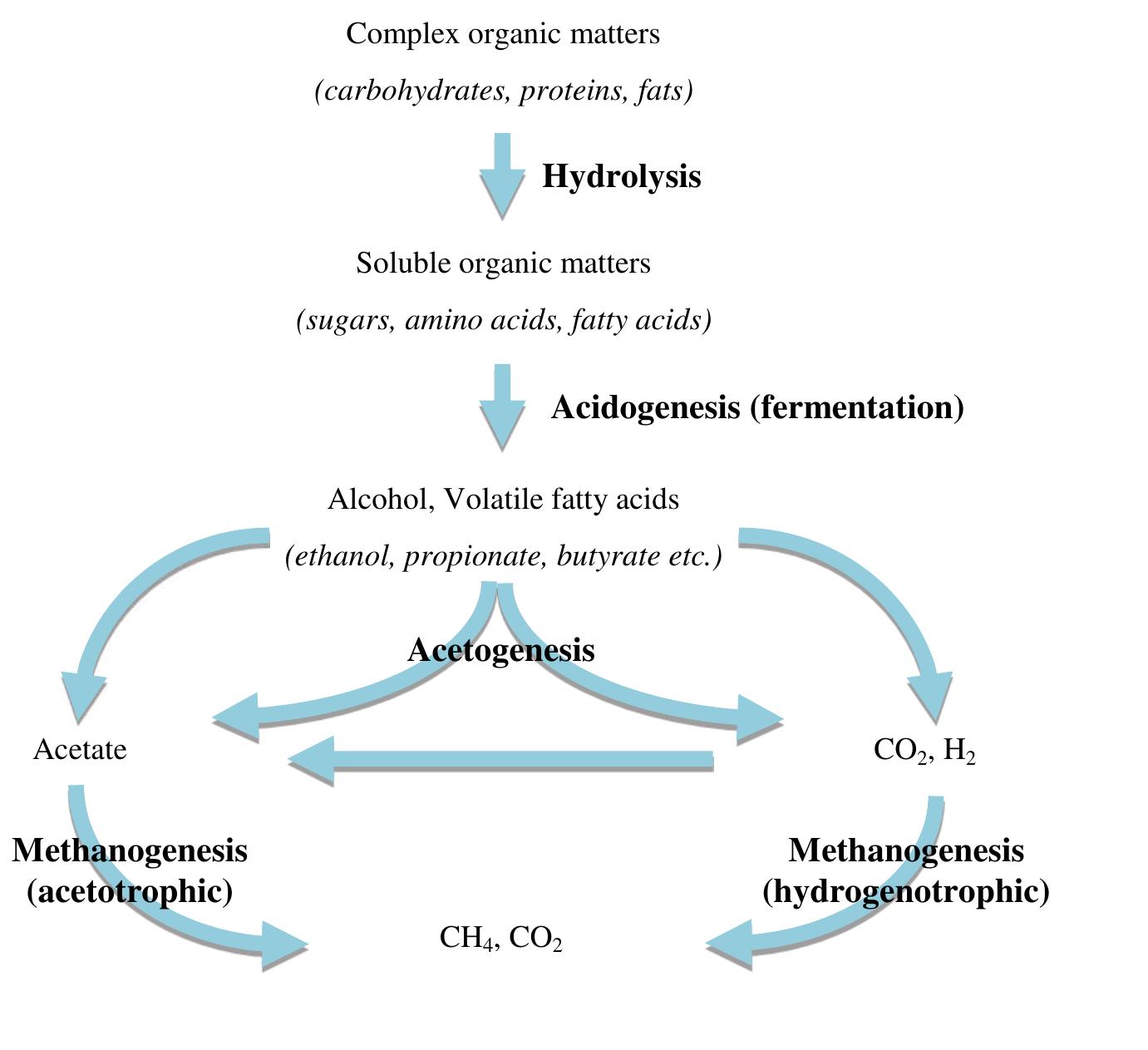 Acetogenesis Process -3: anaerobic digestion biochemical conversion pathways