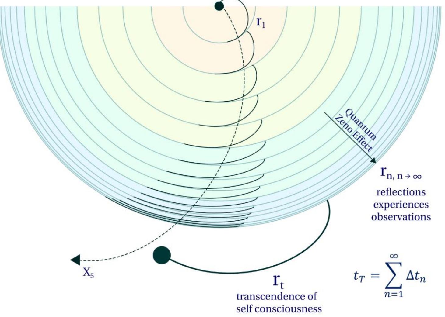 (PDF) Bohm´s Super Implicate Order and the Quantum Zeno Effect