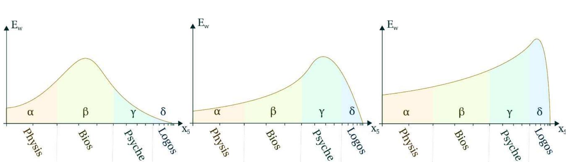(PDF) Bohm´s Super Implicate Order and the Quantum Zeno Effect
