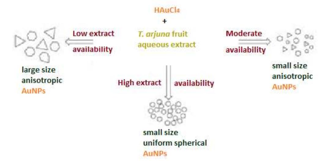 Size and morphology control of gold nanoparticles by change