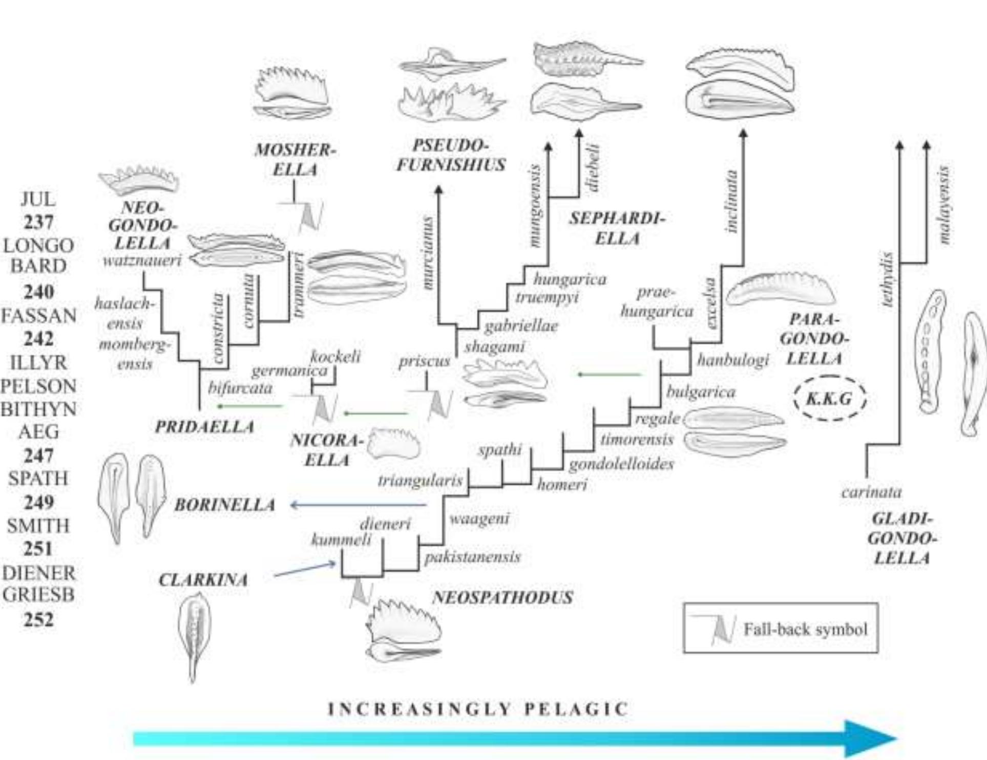 Lopingian Fish (PDF) Proteromorphosis of Neospathodus (Conodonta) during the Permian ...