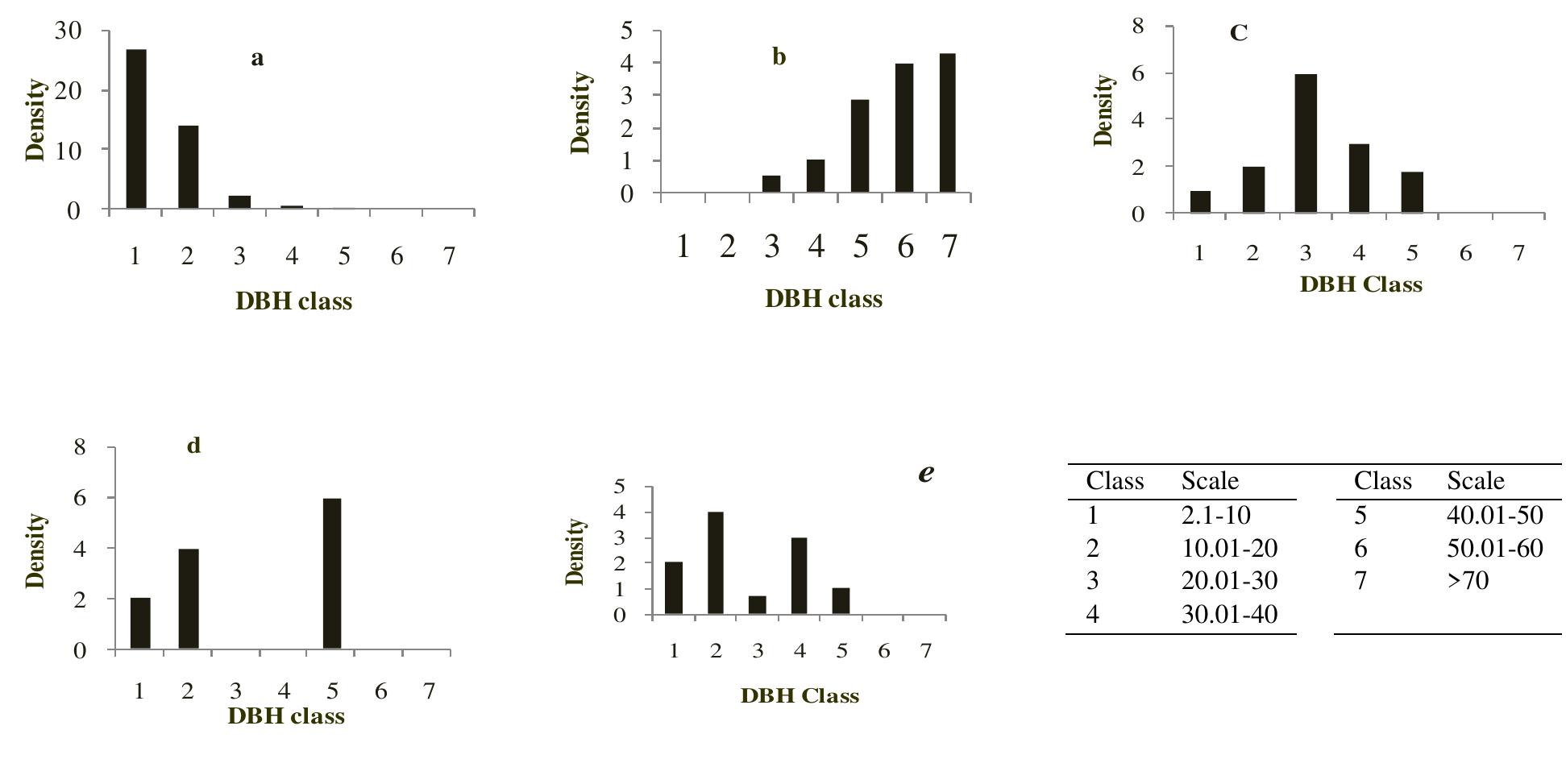 Dbh Pattern (PDF) Floristic Composition and Structure of Yegof Mountain Forest ...