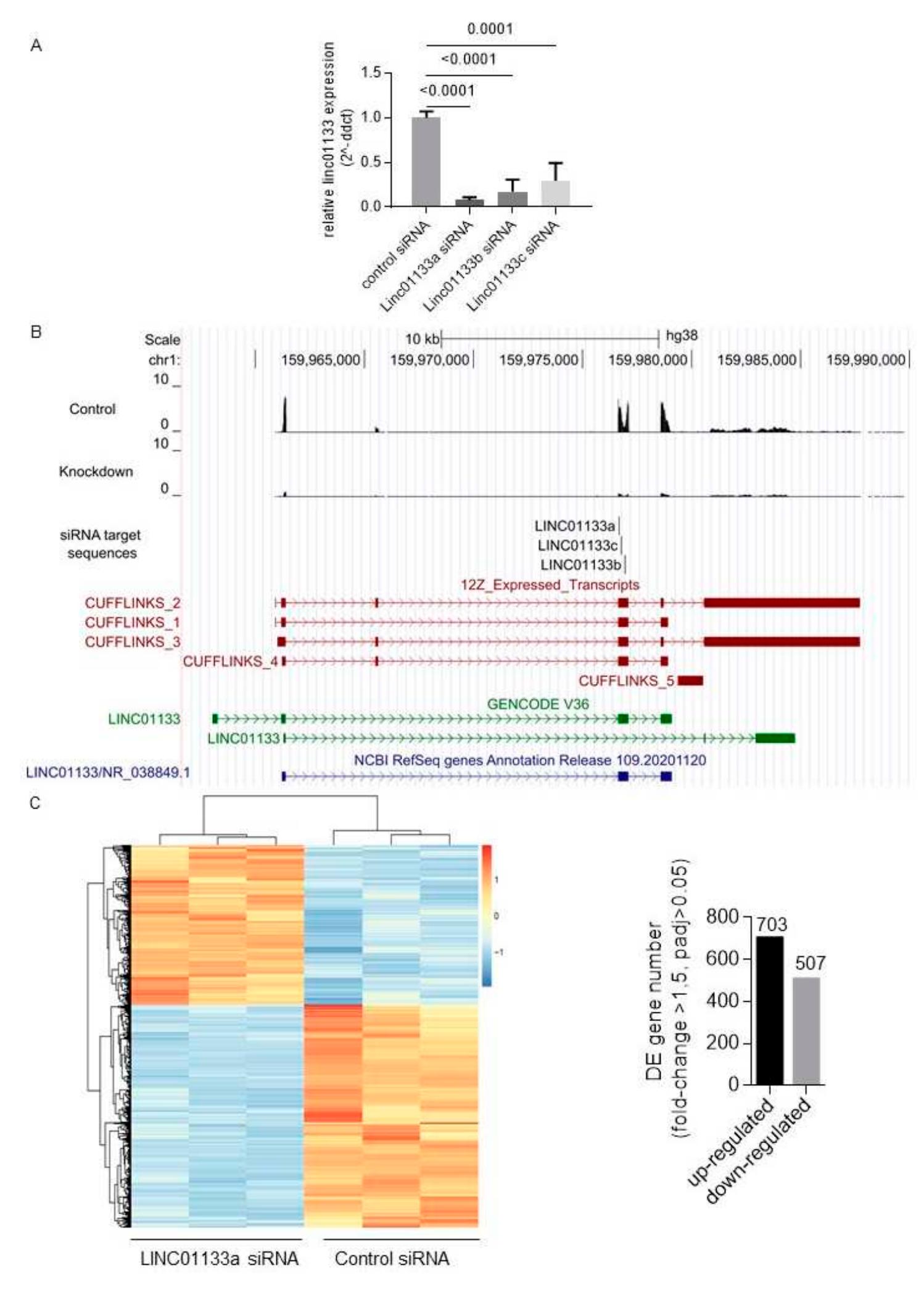 PDF) Molecular and Cellular Advances in Endometriosis Research