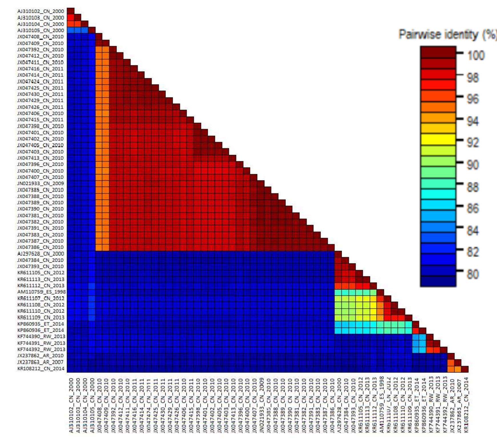 Heat map of percentage nucleotide pairwise identity after