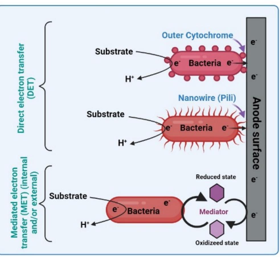 Mechanisms of direct electron transfer (det) and mediated