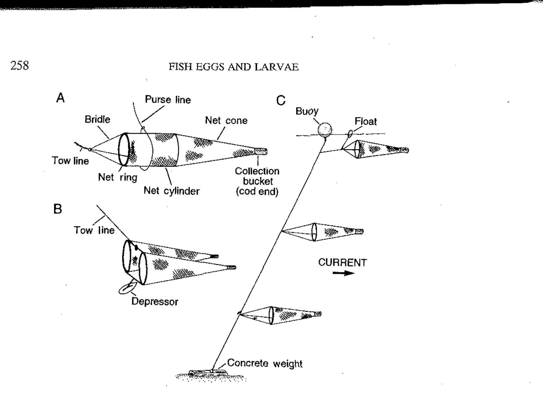 (PDF) Collection , Preservation , and Identification of Fish Eggs and ...