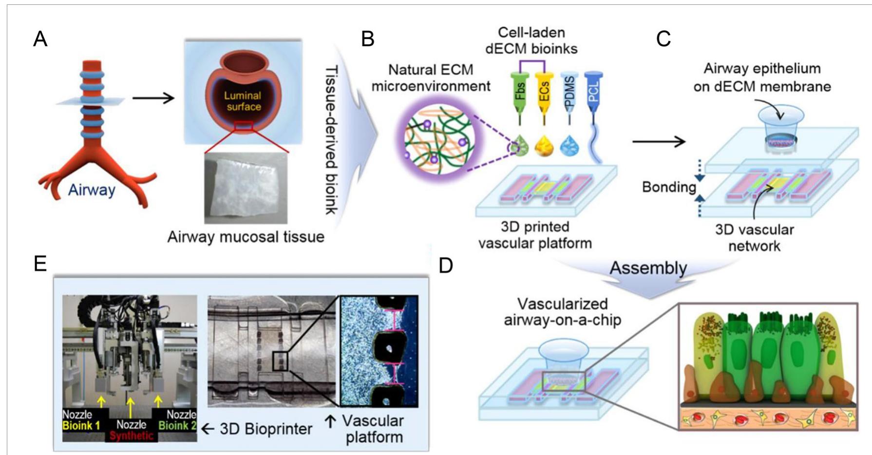 Figure 1 - from The emergence of 3D bioprinting in
