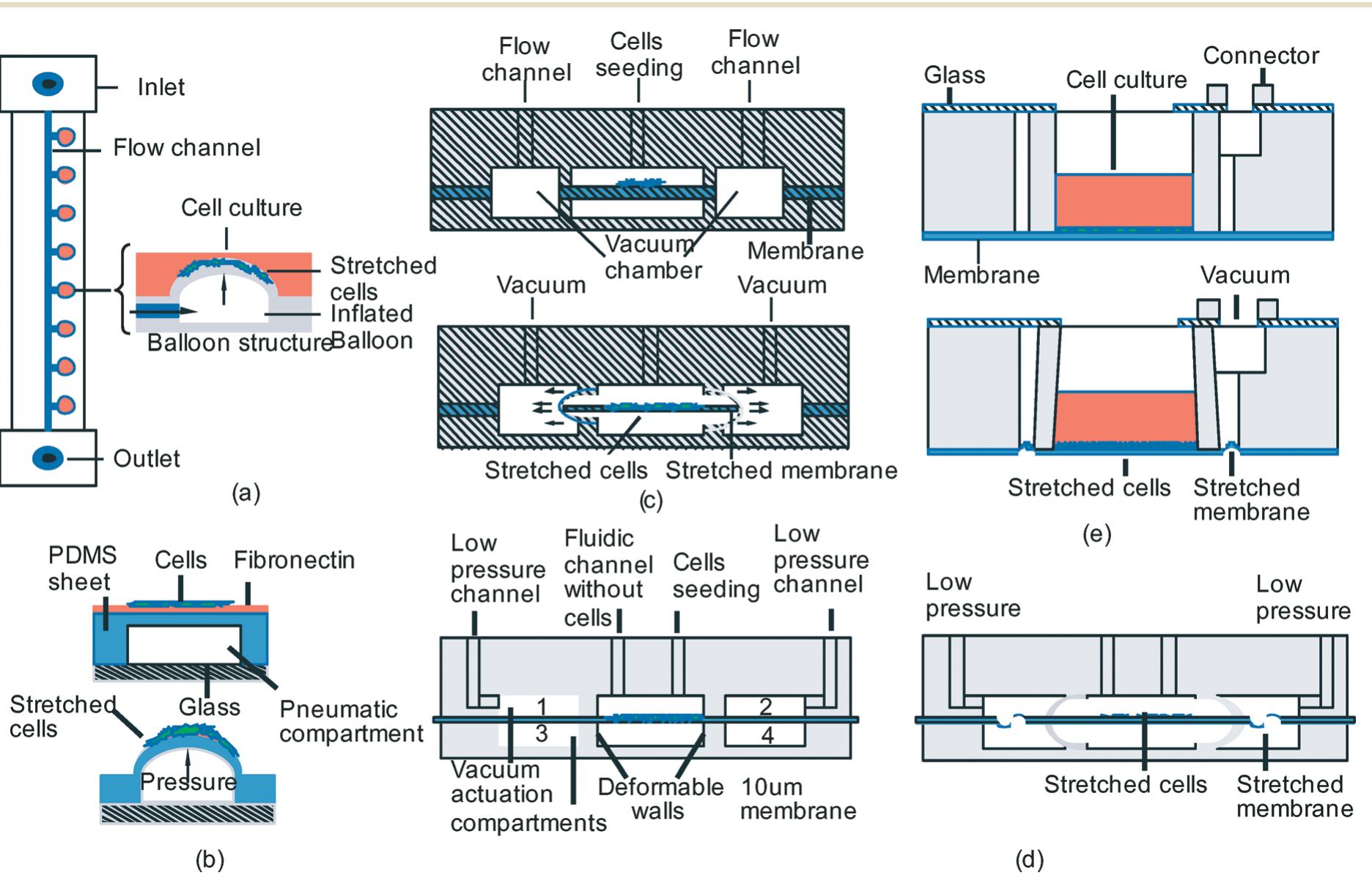 (PDF) Cell stretching devices as research tools: engineering and ...