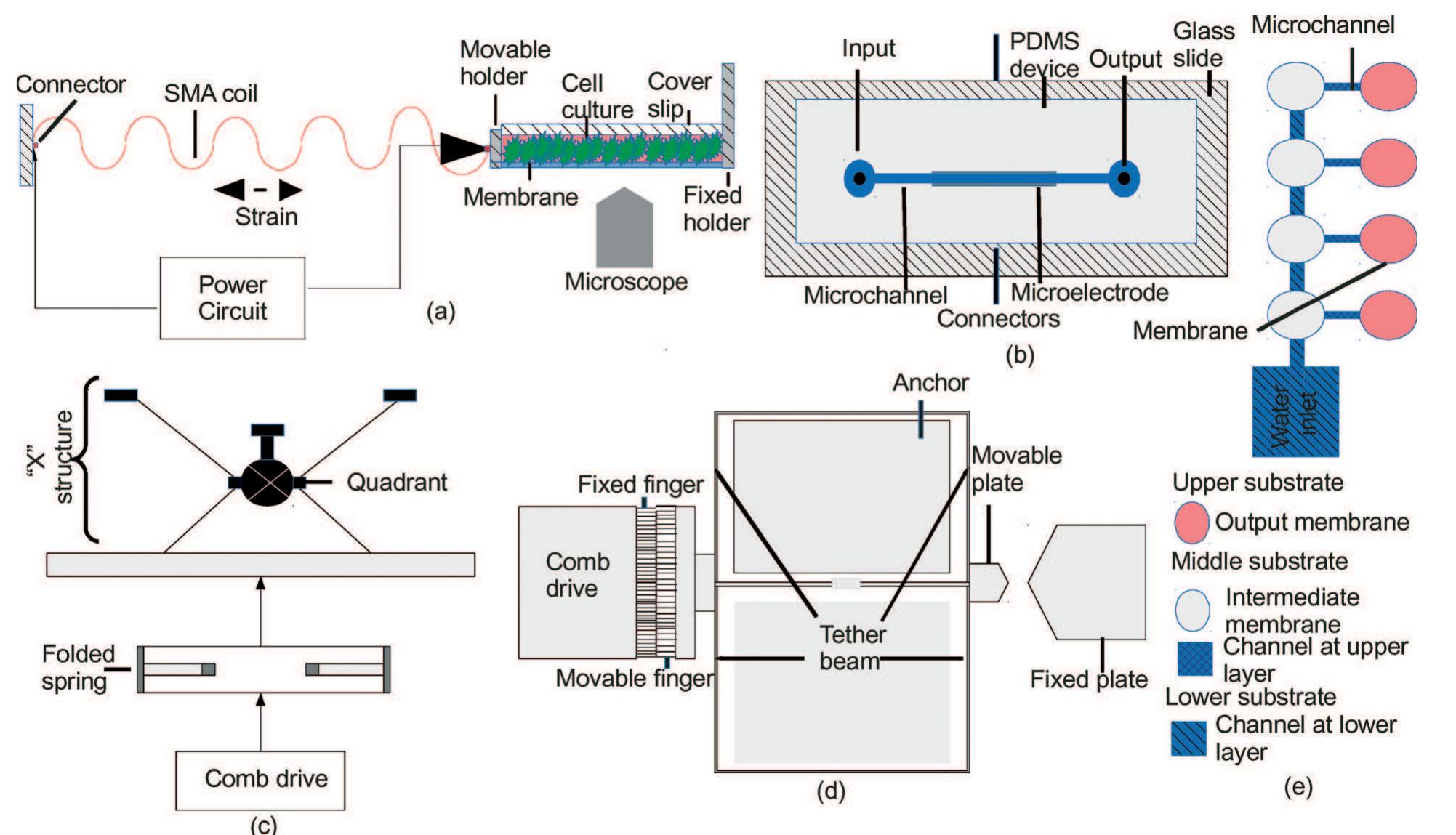 (PDF) Cell stretching devices as research tools: engineering and ...
