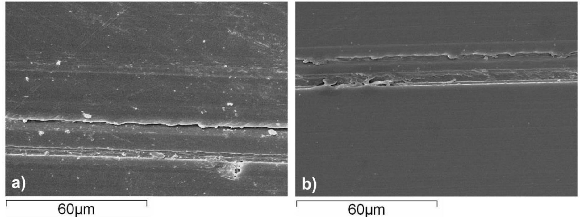 Sem images of pa6 pins surfaces after sliding against ss