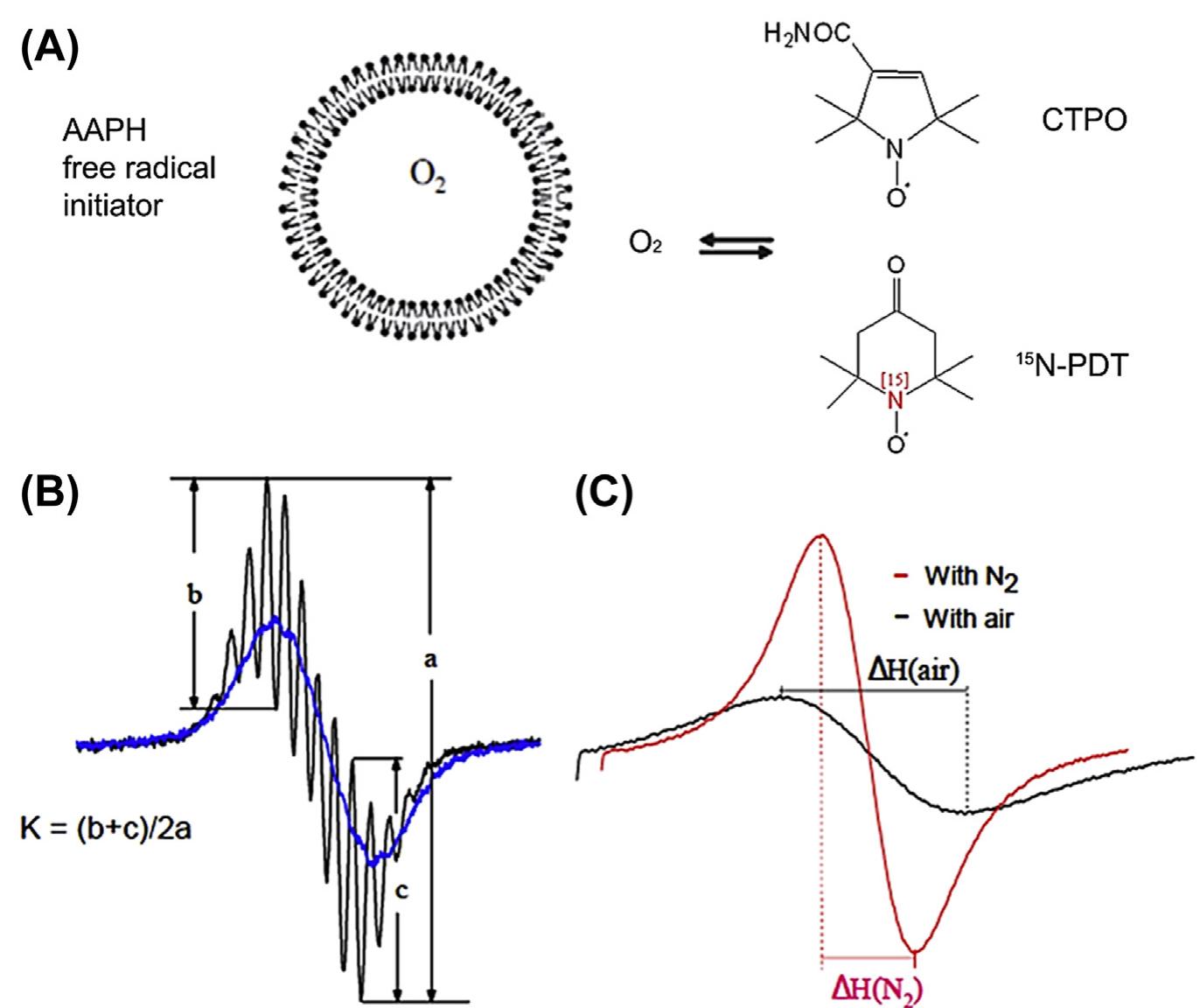 (PDF) Electron spin resonance spectroscopy for the study of ...